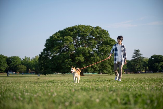 Perro shiba inu dando un paseo