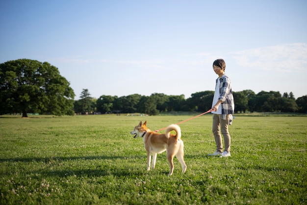 Perro shiba inu dando un paseo