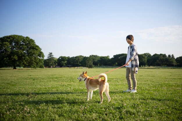 Perro shiba inu dando un paseo