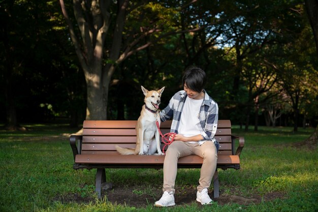 Perro shiba inu dando un paseo