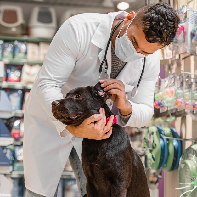 Perro siendo revisado por el veterinario en la tienda de mascotas