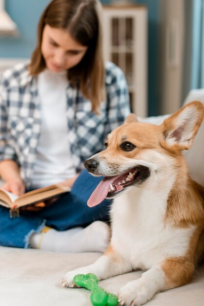 Perro en el sofá con libro de lectura de mujer desenfocada