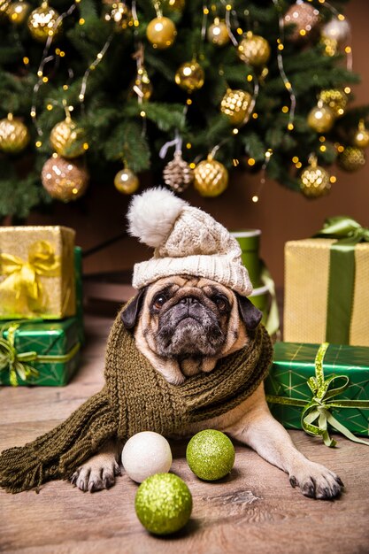 Perro con sombrero cuidando regalos preparados para navidad