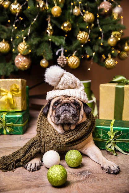 Perro con sombrero cuidando regalos preparados para navidad