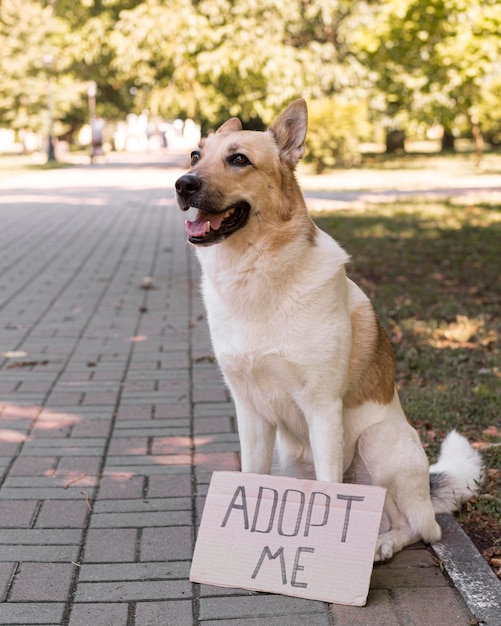 Perro sonriente con adoptar me banner