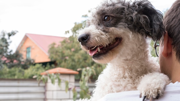 Perro sonriente de primer plano al aire libre