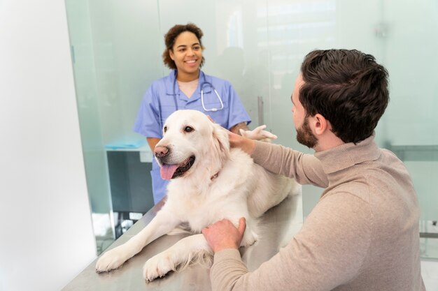 Perro de tiro medio en clínica veterinaria.