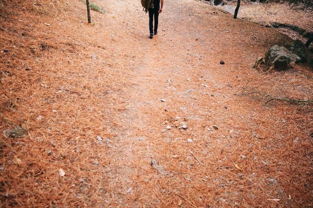 Foto gratuita persona andando en camino en bosque