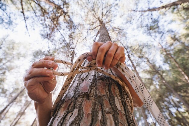 Persona anónima que ata la cuerda alrededor del árbol