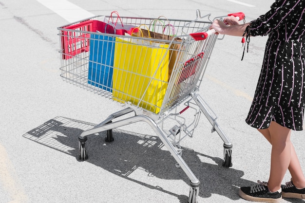 Persona con un carro de la compra