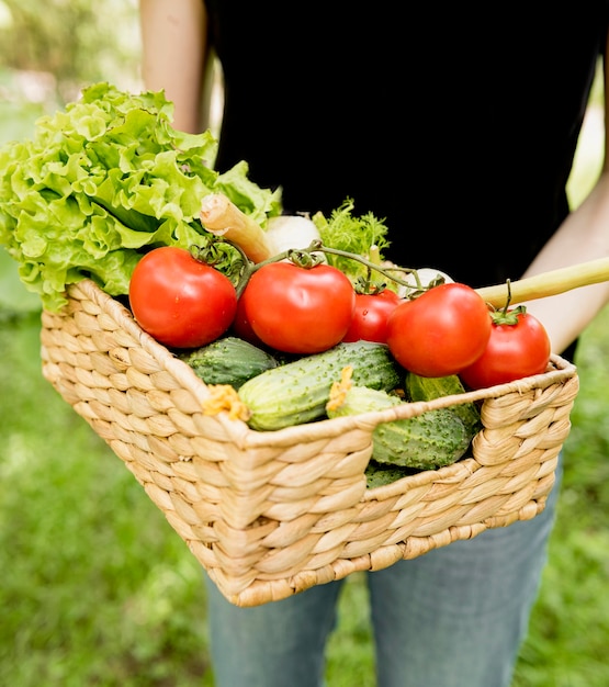 Persona con cubo con tomates y pepinos