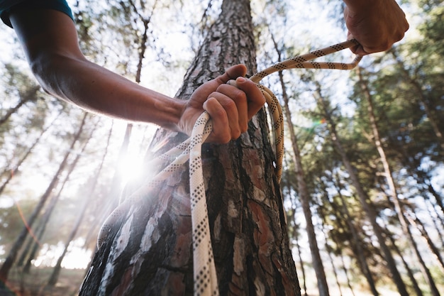 Persona de cultivo atando la cuerda en el árbol