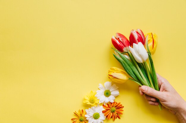 Persona de cultivo con pila de tulipanes