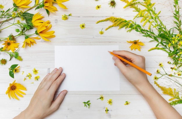 Una persona dibujando sobre un papel blanco con un lápiz naranja cerca de flores amarillas sobre una superficie de madera