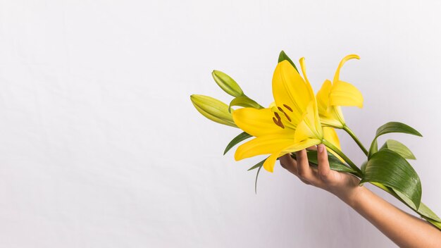 Foto gratuita persona con flor amarilla brillante