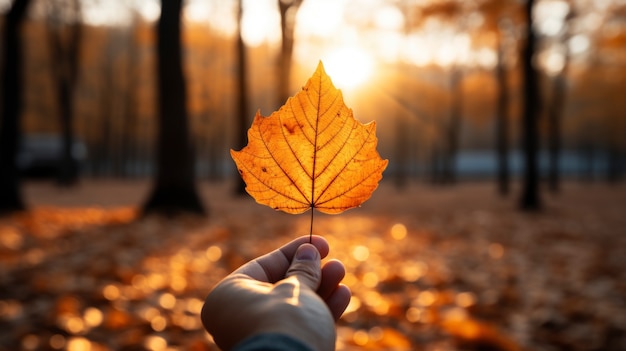 Foto gratuita persona con hoja seca de otoño en la mano