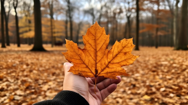 Persona con hoja seca de otoño en la mano