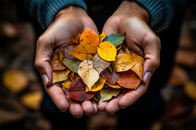 Persona con hojas secas de otoño en las manos