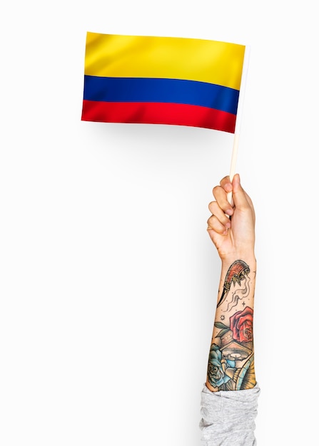 Foto gratuita persona que agita la bandera de la república de colombia