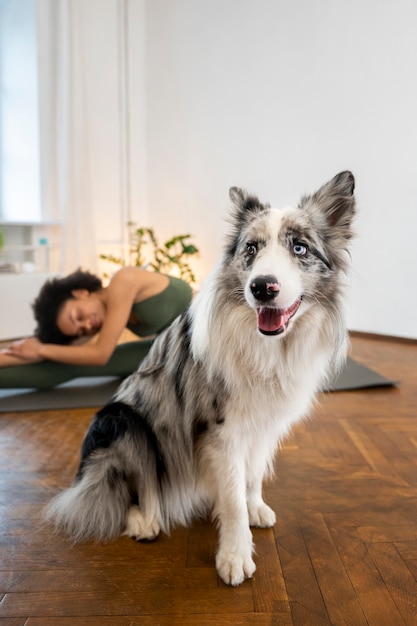 Foto gratuita persona que hace yoga acompañada de su mascota