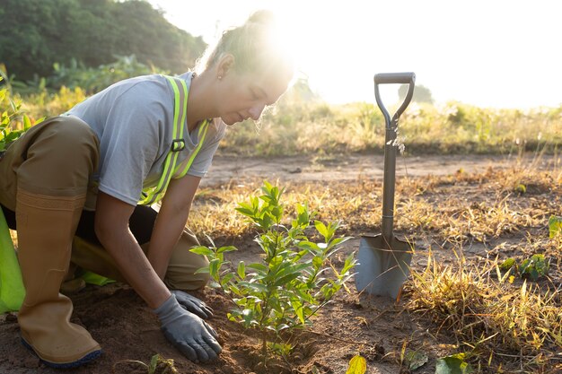 Persona que planta un árbol en el campo.