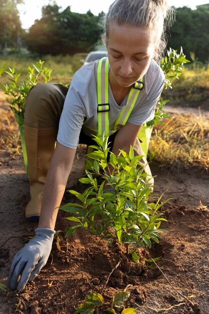 Persona que planta un árbol en el campo.