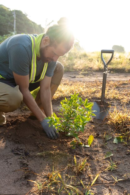 Persona que planta un árbol en el campo.