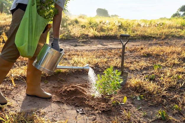 Persona que planta un árbol en el campo.