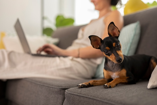 Foto gratuita persona que trabaja desde casa con perro mascota