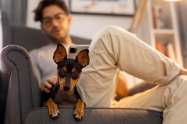 Persona que trabaja desde casa con perro mascota