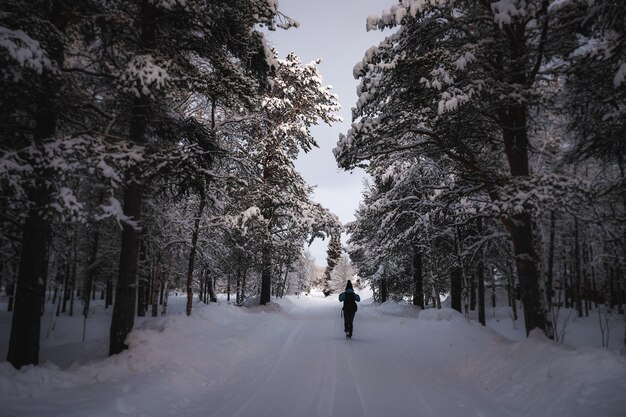 Una persona en ropa de abrigo caminando por un sendero nevado con árboles alrededor
