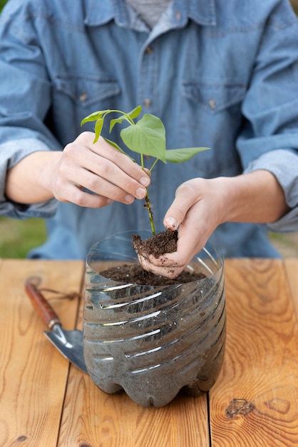 Persona sosteniendo una planta en una maceta de plástico