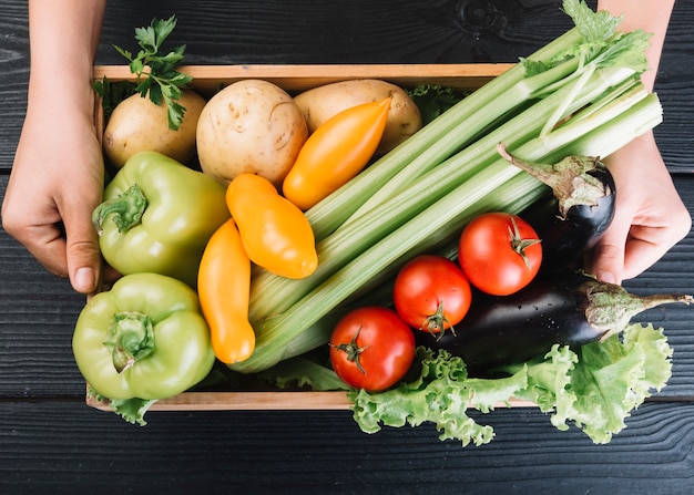 Una persona sosteniendo un recipiente con varios vegetales frescos.