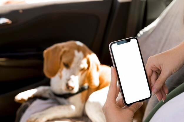 Persona sosteniendo un teléfono móvil y un perro borrosa en segundo plano.