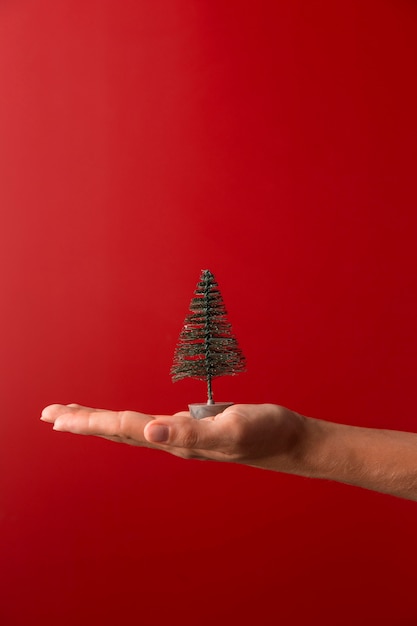 Persona titular de la orientación vertical de la decoración del árbol