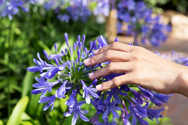 Persona tocando flores con la mano al aire libre