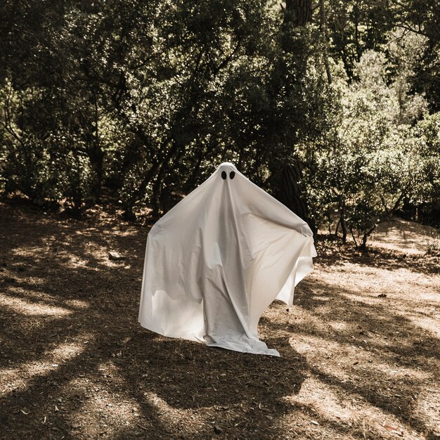 Persona en traje de fantasma de pie en el bosque con los brazos estirados