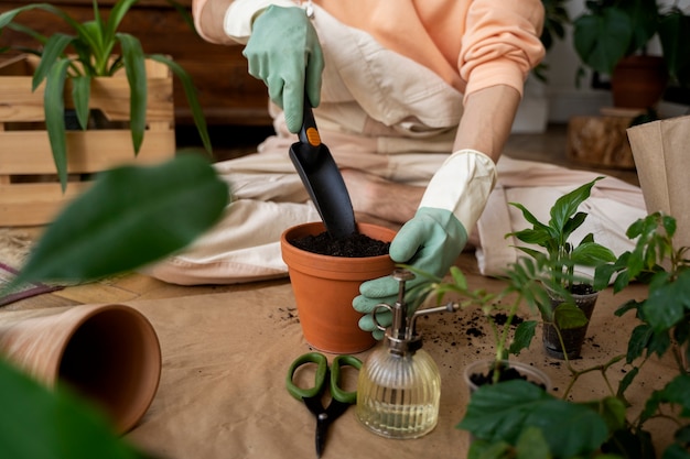 Persona trasplantando plantas en macetas nuevas