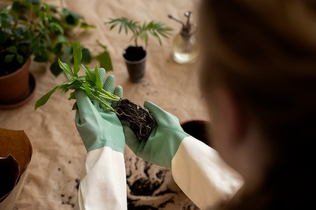 Persona trasplantando plantas en macetas nuevas