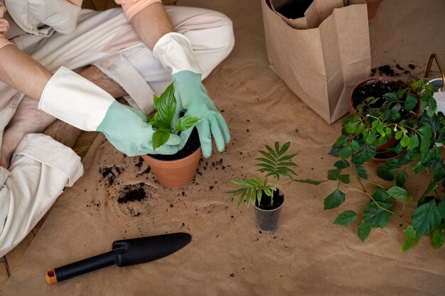 Persona trasplantando plantas en macetas nuevas