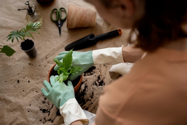 Foto gratuita persona trasplantando plantas en macetas nuevas