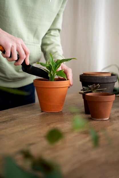 Persona trasplantando plantas en macetas nuevas