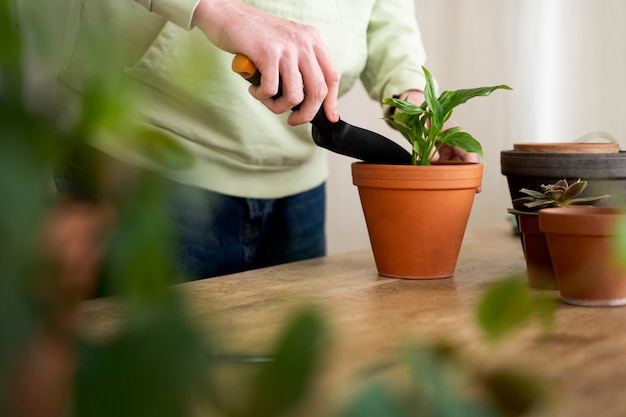 Persona trasplantando plantas en macetas nuevas