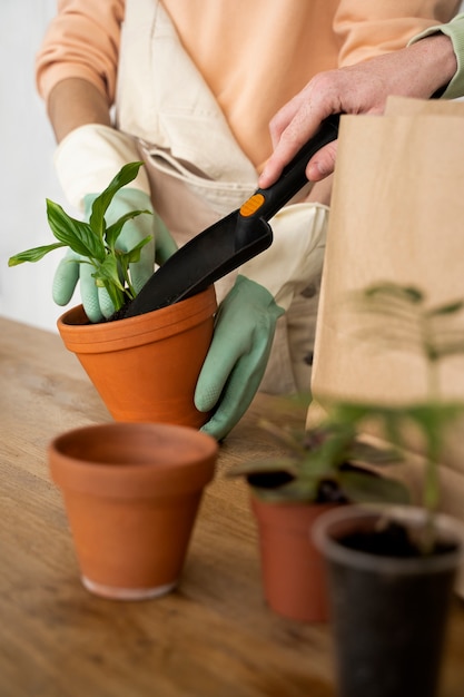 Persona trasplantando plantas en macetas nuevas