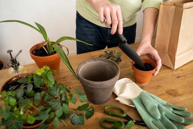 Persona trasplantando plantas en macetas nuevas