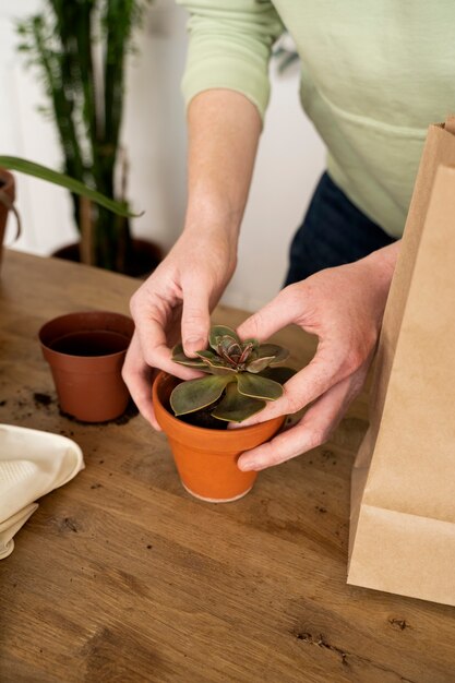 Persona trasplantando plantas en macetas nuevas