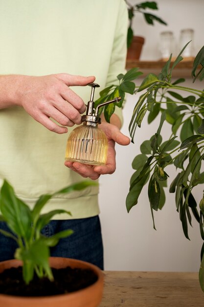 Persona trasplantando plantas en macetas nuevas