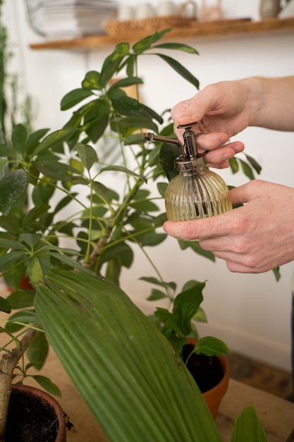 Persona trasplantando plantas en macetas nuevas