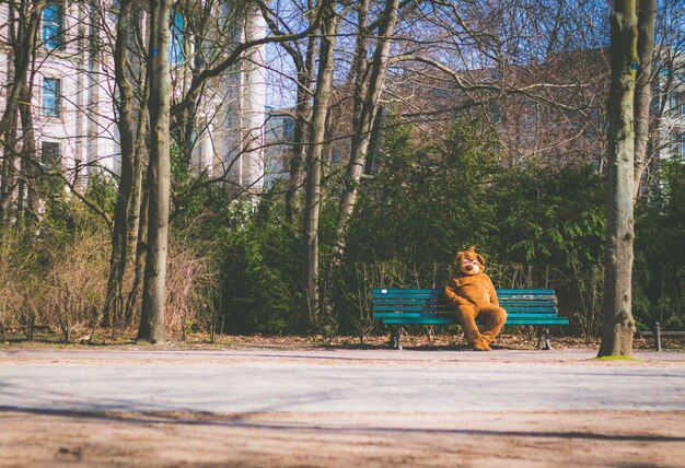 Persona vestida con un traje de oso sentado en un banco