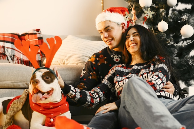 Personas en adornos navideños. Hombre y mujer en suéteres de año nuevo. Familia con perro grande.